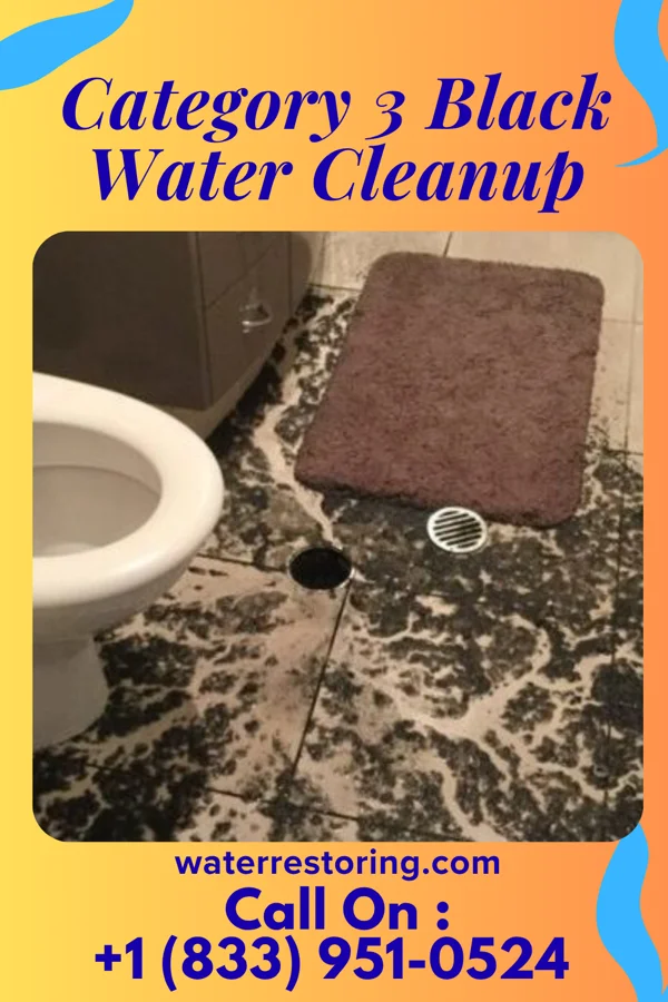 Category 3 Black Water Cleanup in DeCordova, TX