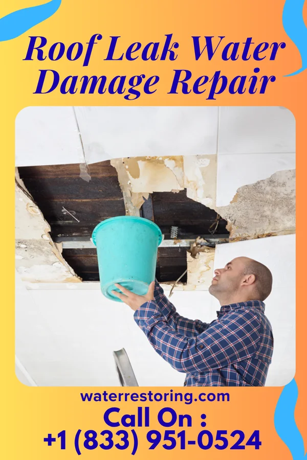 Roof Leak Water Damage Repair in DeCordova, TX